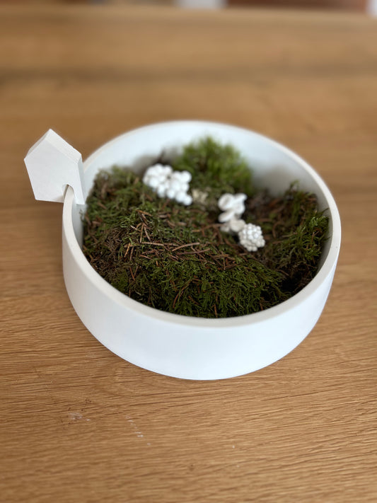 Große Schale, Kerzenschale, Pflanzschale